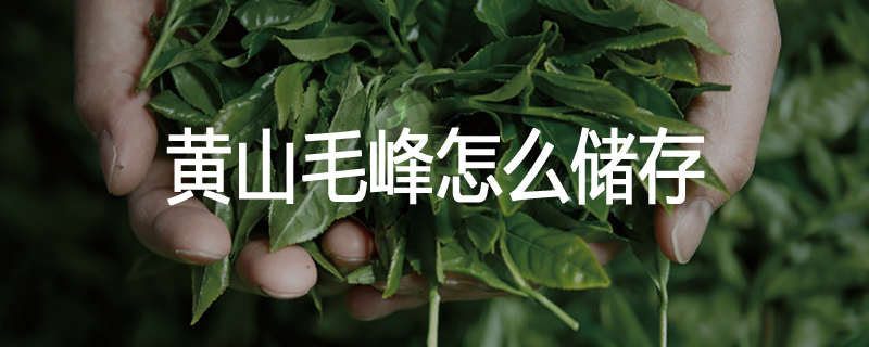 黄山毛峰怎么储存