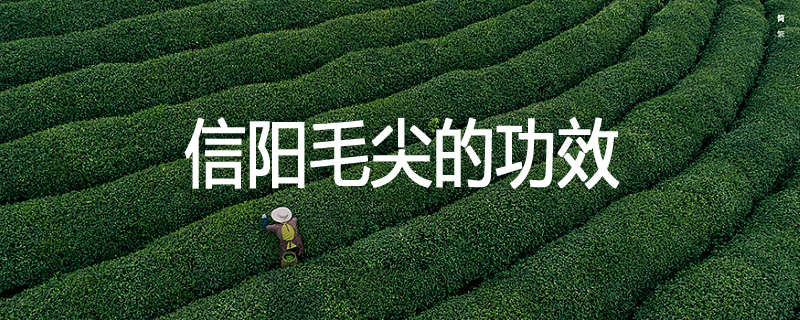信阳毛尖茶的功效