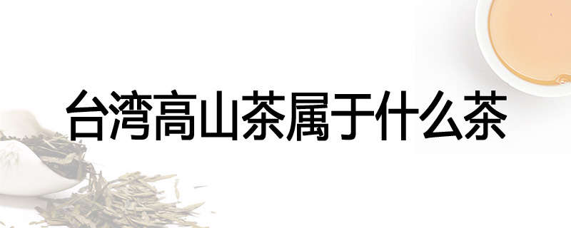 台湾高山茶属于什么茶