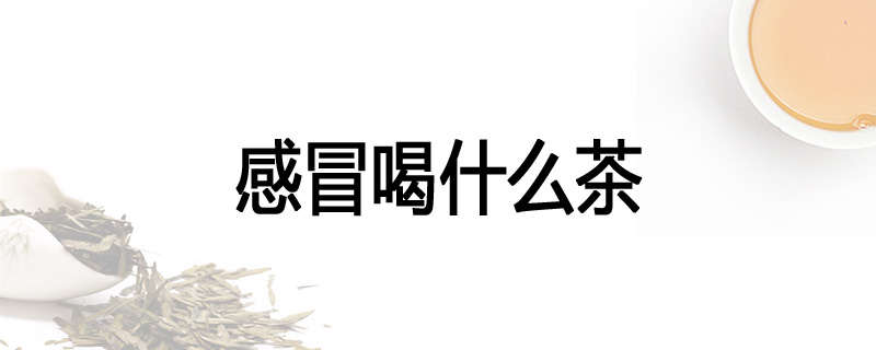 感冒喝什么茶