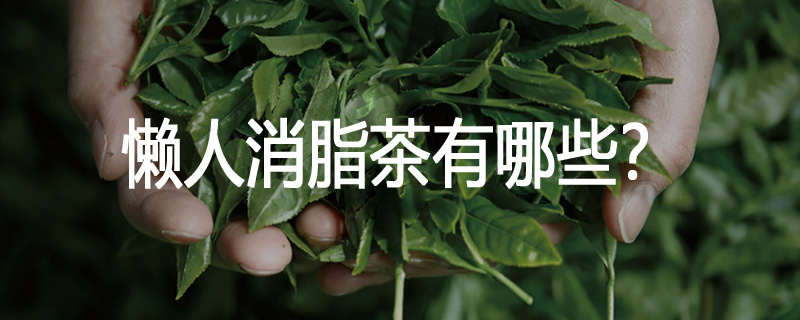 懒人消脂茶有哪些?