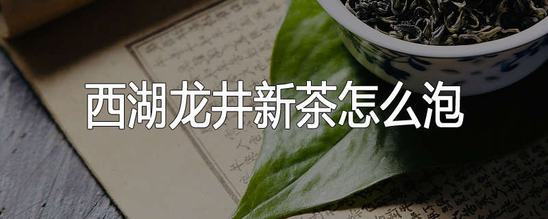 西湖龙井新茶怎么泡