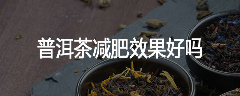 普洱茶减肥效果好吗