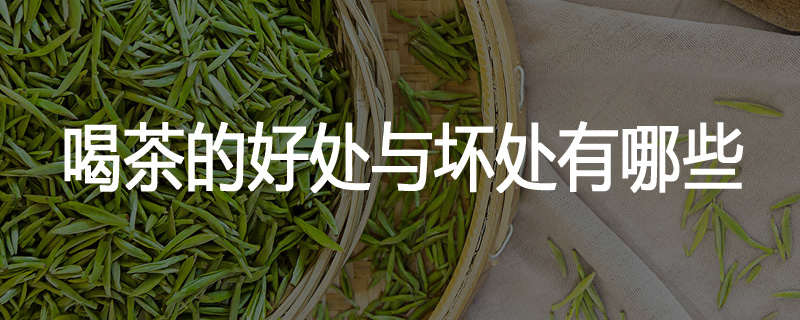 喝茶的好处与坏处有哪些
