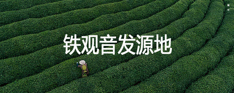铁观音发源地