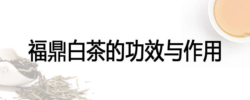 福鼎白茶的功效与作用