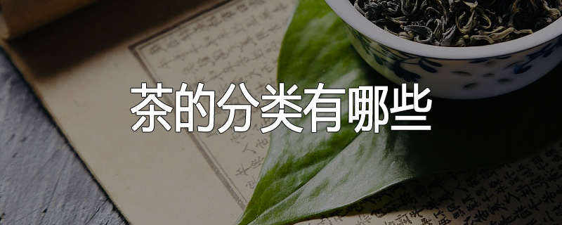 茶的分类有哪些