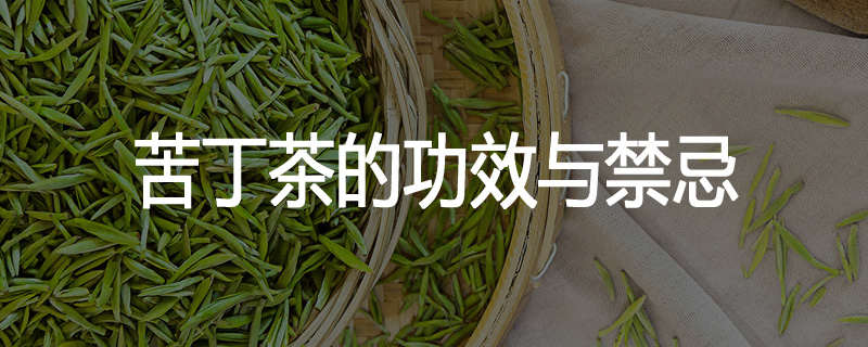 苦丁茶的功效与禁忌
