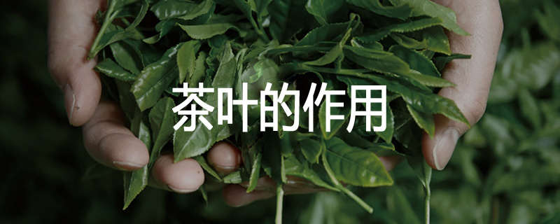 茶叶的作用