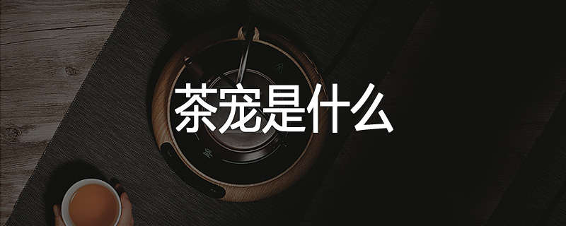 茶宠是什么