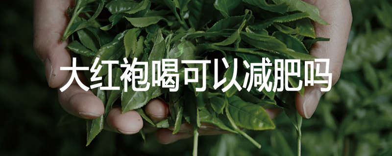 大红袍喝可以减肥吗