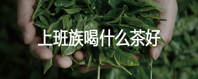 上班族喝什么茶好