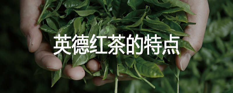 英德红茶的特点