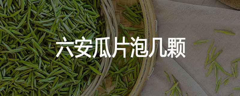 六安瓜片泡几颗