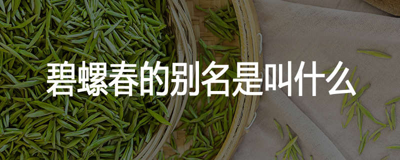 碧螺春的别名是叫什么