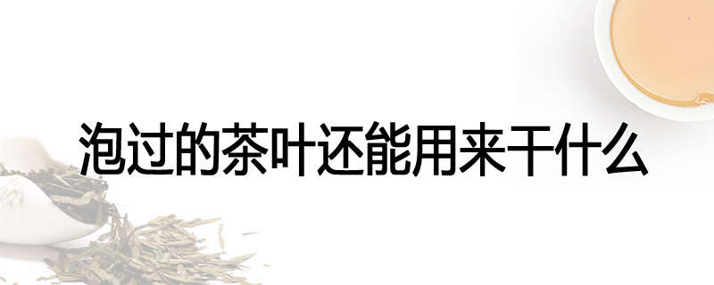 泡过的茶叶还能用来干什么