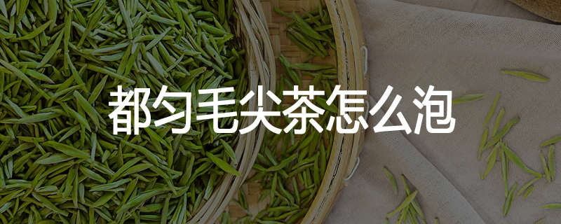都匀毛尖茶怎么泡