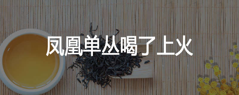 凤凰单丛喝了上火