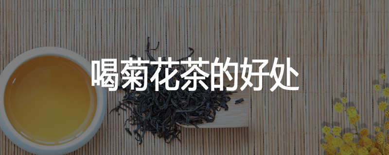 喝菊花茶的好处