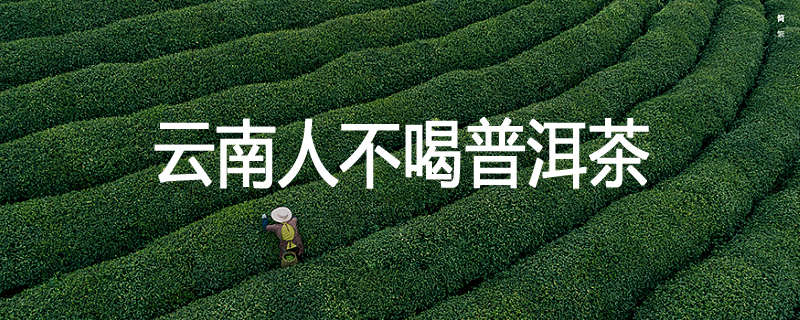 云南人不喝普洱茶