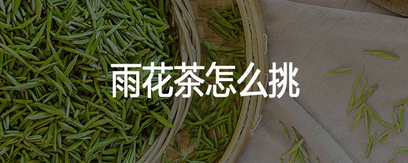 雨花茶怎么挑