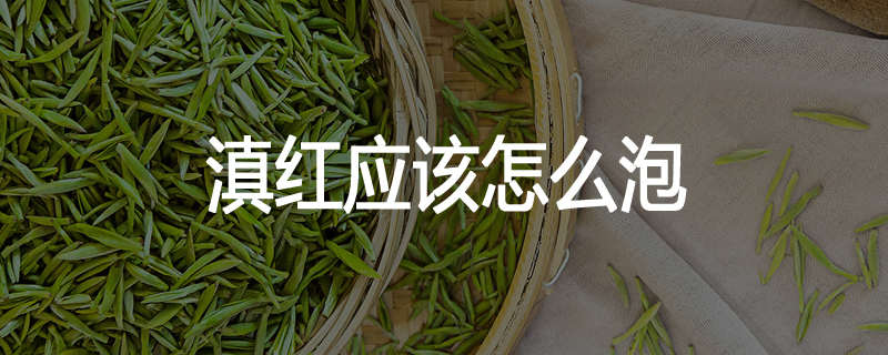 滇红应该怎么泡