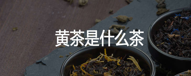 黄茶是什么茶