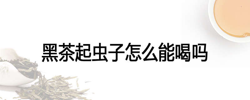 黑茶起虫子怎么能喝吗