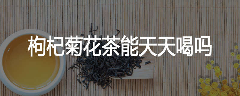 枸杞菊花茶能天天喝吗