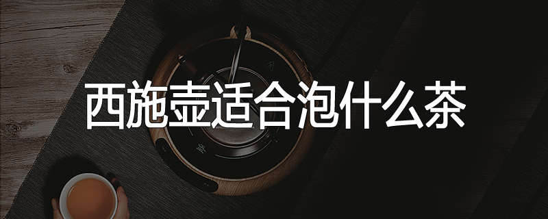 西施壶适合泡什么茶