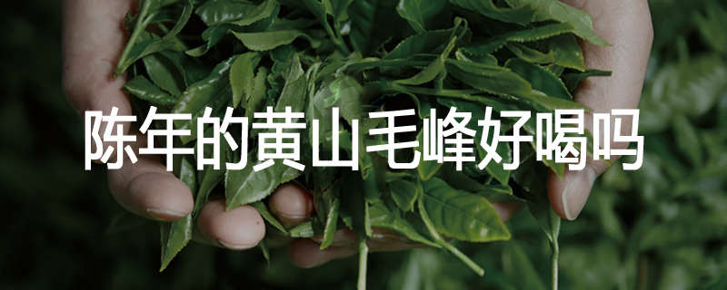 陈年的黄山毛峰好喝吗