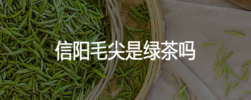 信阳毛尖是绿茶吗