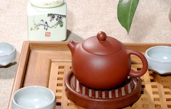 怎么养壶