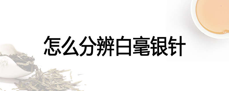怎么分辨白毫银针