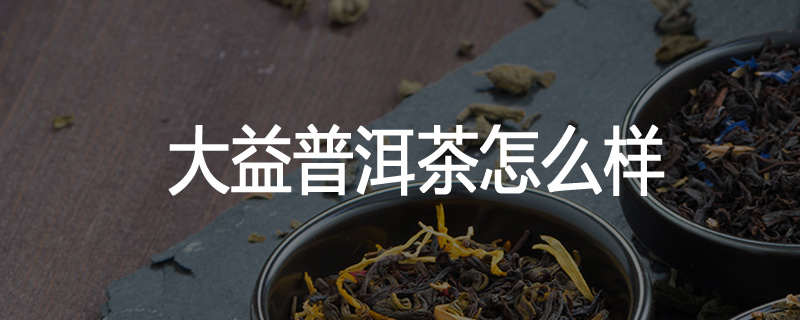 大益普洱茶怎么样