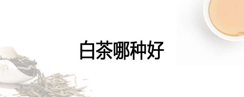 白茶哪种好