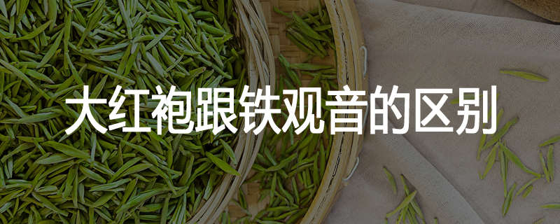 大红袍跟铁观音的区别