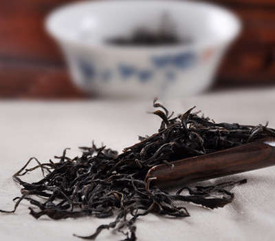 老凤凰单丛属于什么茶
