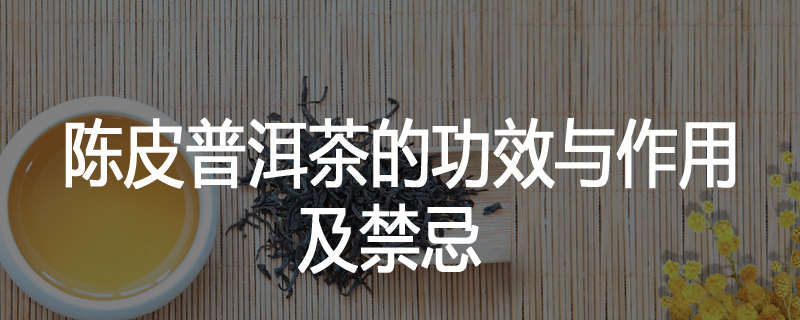 陈皮普洱茶的功效与作用及禁忌