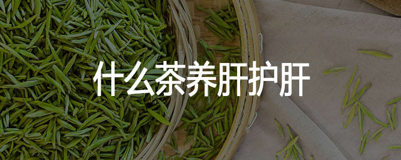 什么茶养肝护肝