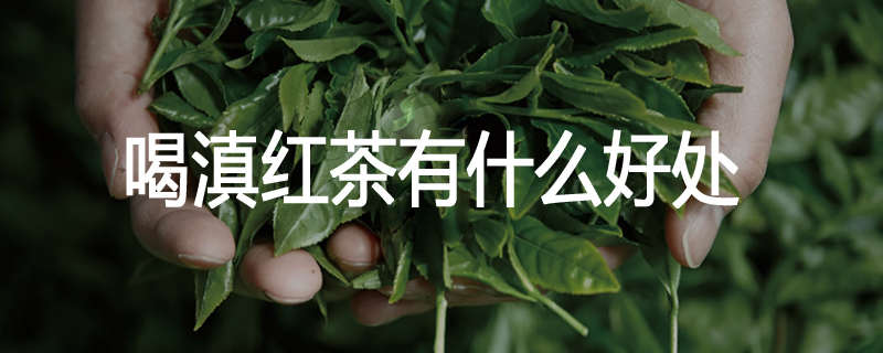 喝滇红茶有什么好处