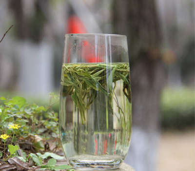 霍山黄芽的功效