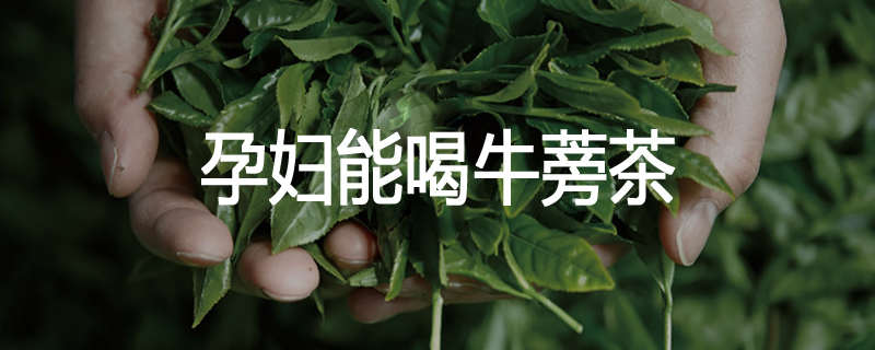 孕妇能喝牛蒡茶