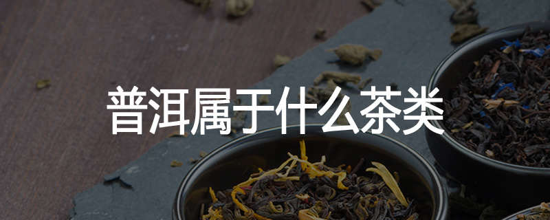 普洱属于什么茶类