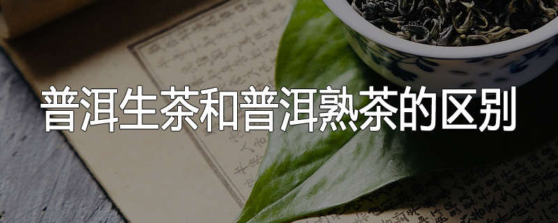 普洱生茶和普洱熟茶的区别