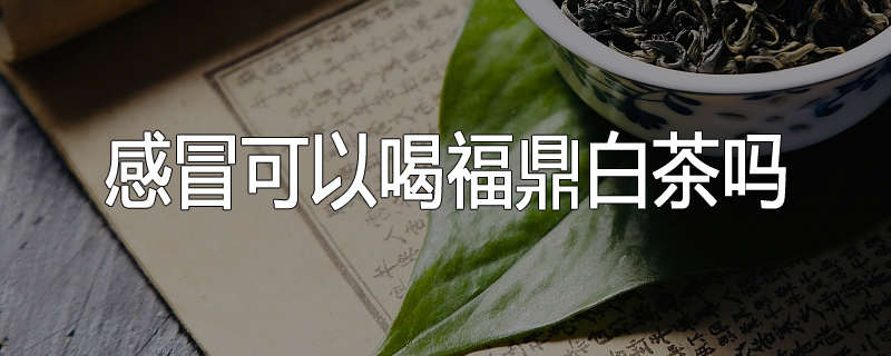 感冒可以喝福鼎白茶吗