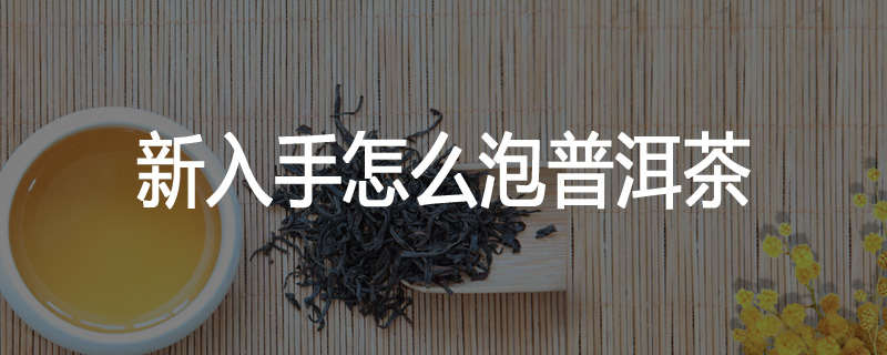 新入手怎么泡普洱茶
