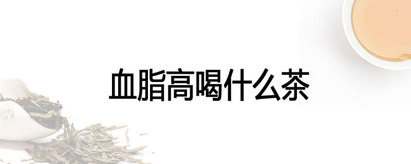 血脂高喝什么茶