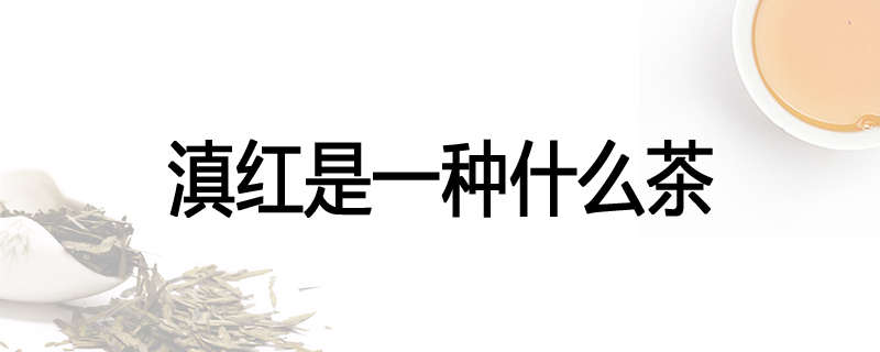 滇红是一种什么茶