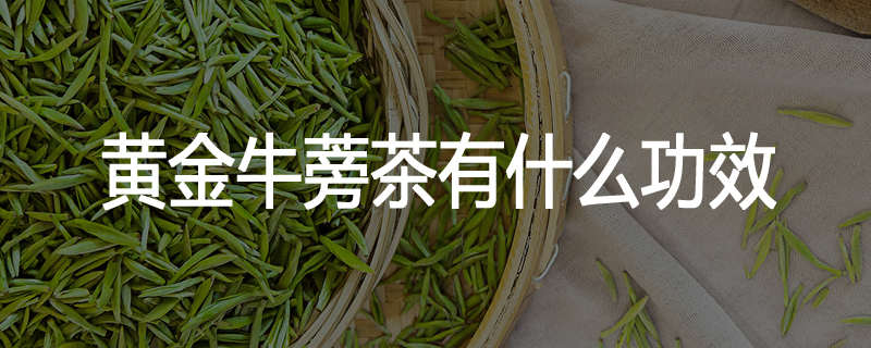 黄金牛蒡茶有什么功效